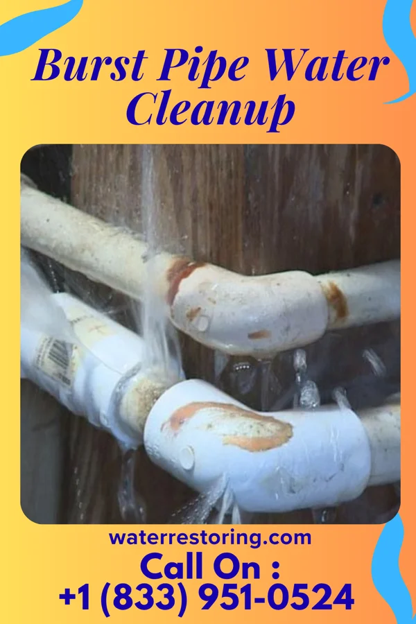 Burst Pipe Water Cleanup in Beckett, NJ