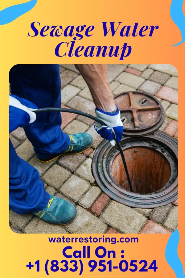 Sewage Water Cleanup in Beckett, NJ