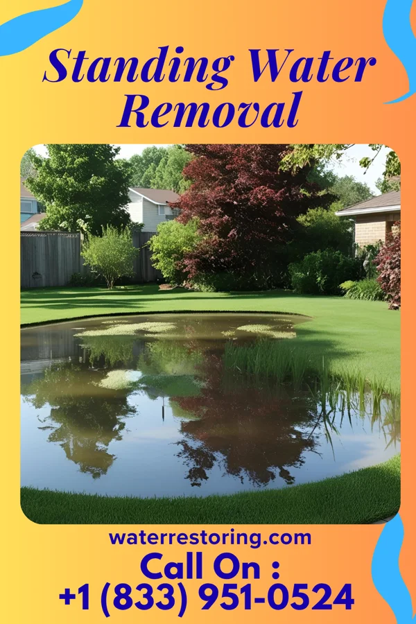 Standing Water Removal in Beckett, NJ